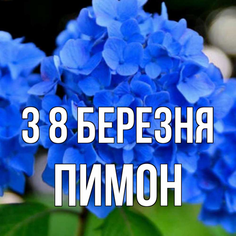 Открытка на каждый день з підписом, Пимон З 8 БЕРЕЗНЯ синие цветы Прикольна листівка з побажанням онлайн скачати безкоштовно 