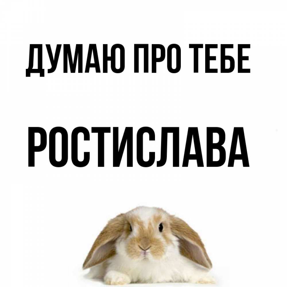 Открытка на каждый день з підписом, Ростислава Думаю про тебе подписать своими руками онлайн Прикольна листівка з побажанням онлайн скачати безкоштовно 