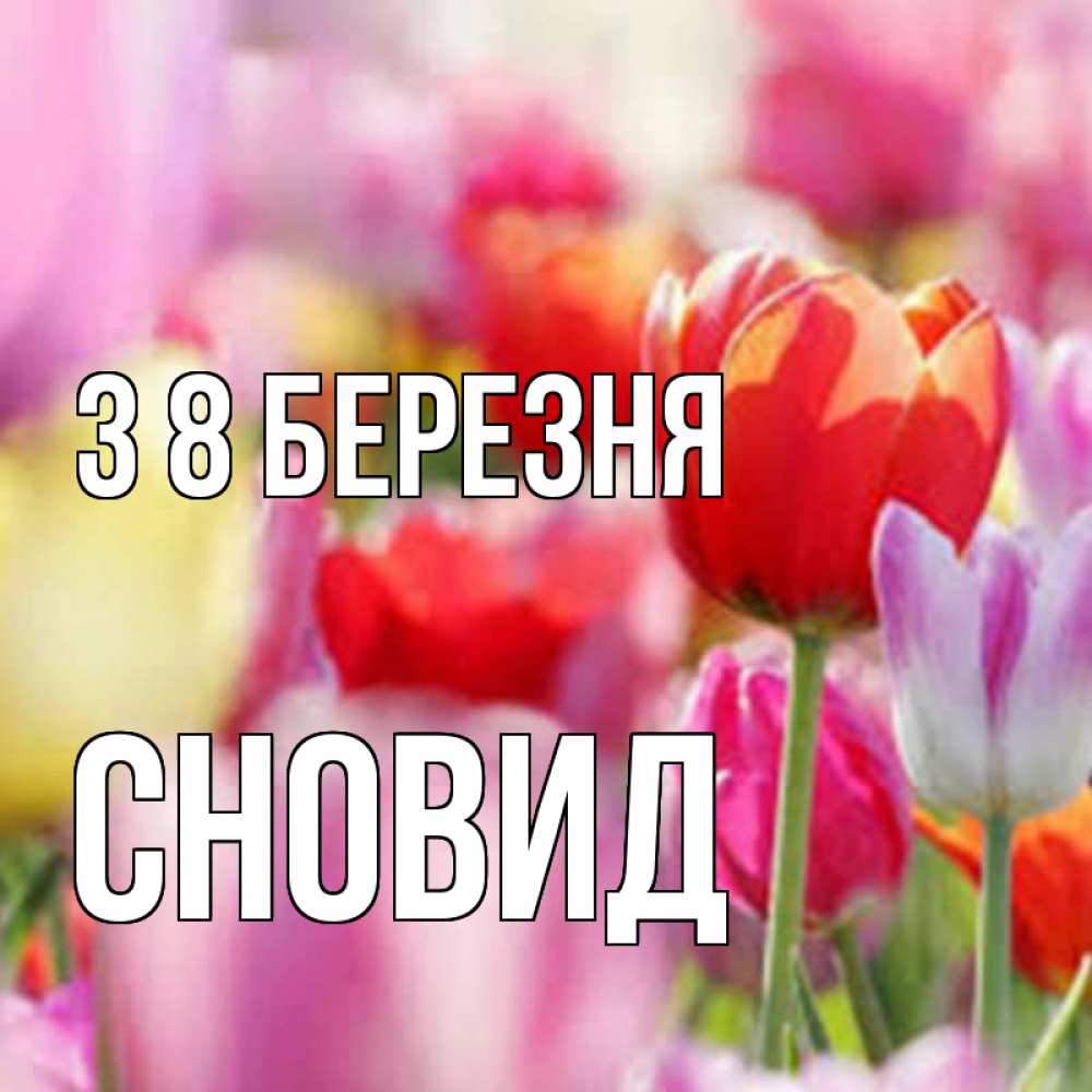 Открытка на каждый день з підписом, Сновид З 8 БЕРЕЗНЯ на международный женский день 2 Прикольна листівка з побажанням онлайн скачати безкоштовно 
