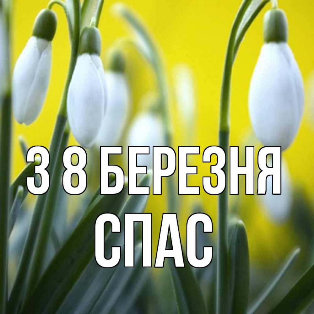 Открытка на каждый день з підписом, Спас З 8 БЕРЕЗНЯ весенние цветы Прикольна листівка з побажанням онлайн скачати безкоштовно 