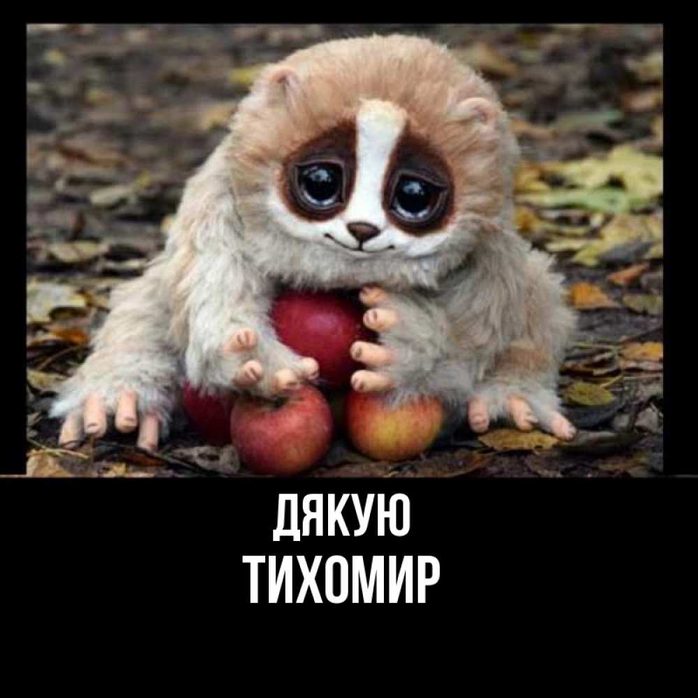 Открытка на каждый день з підписом, Тихомир Дякую прикольное животное Прикольна листівка з побажанням онлайн скачати безкоштовно 