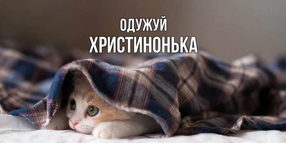 Открытка на каждый день з підписом, Христинонька Одужуй не болейте с котиком Прикольна листівка з побажанням онлайн скачати безкоштовно 