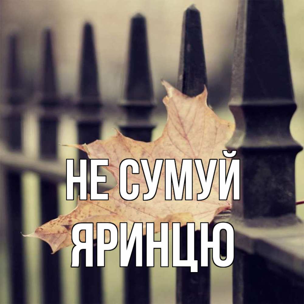 Открытка на каждый день з підписом, Яринцю Не сумуй лист клена Прикольна листівка з побажанням онлайн скачати безкоштовно 