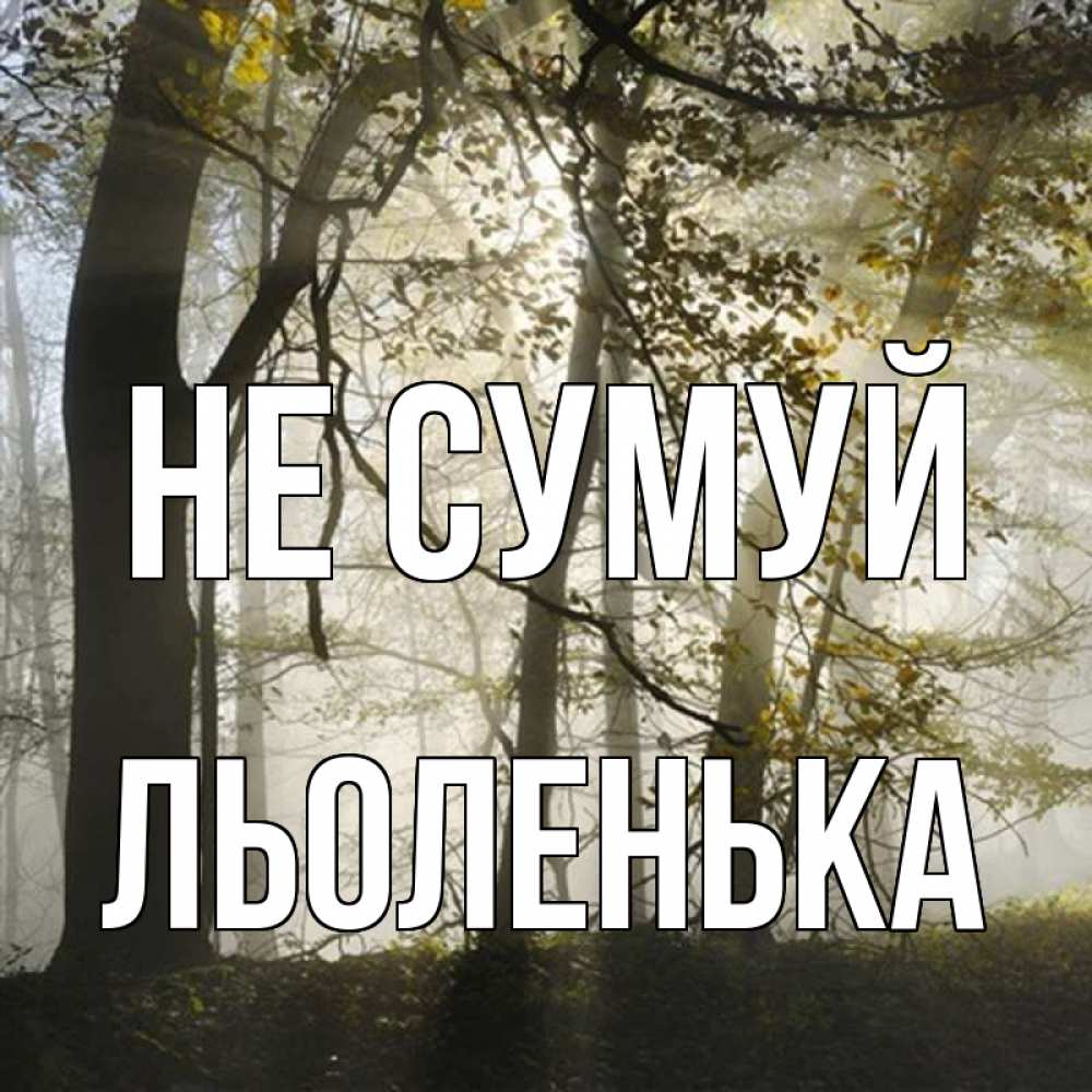 Открытка на каждый день з підписом, Льоленька Не сумуй лес и свет Прикольна листівка з побажанням онлайн скачати безкоштовно 