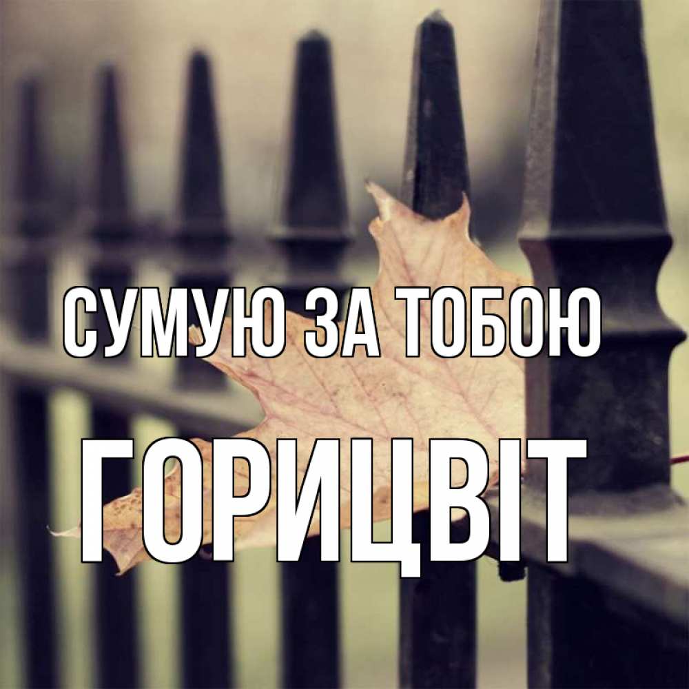 Открытка на каждый день з підписом, Горицвіт Сумую за тобою очень скучно Прикольна листівка з побажанням онлайн скачати безкоштовно 