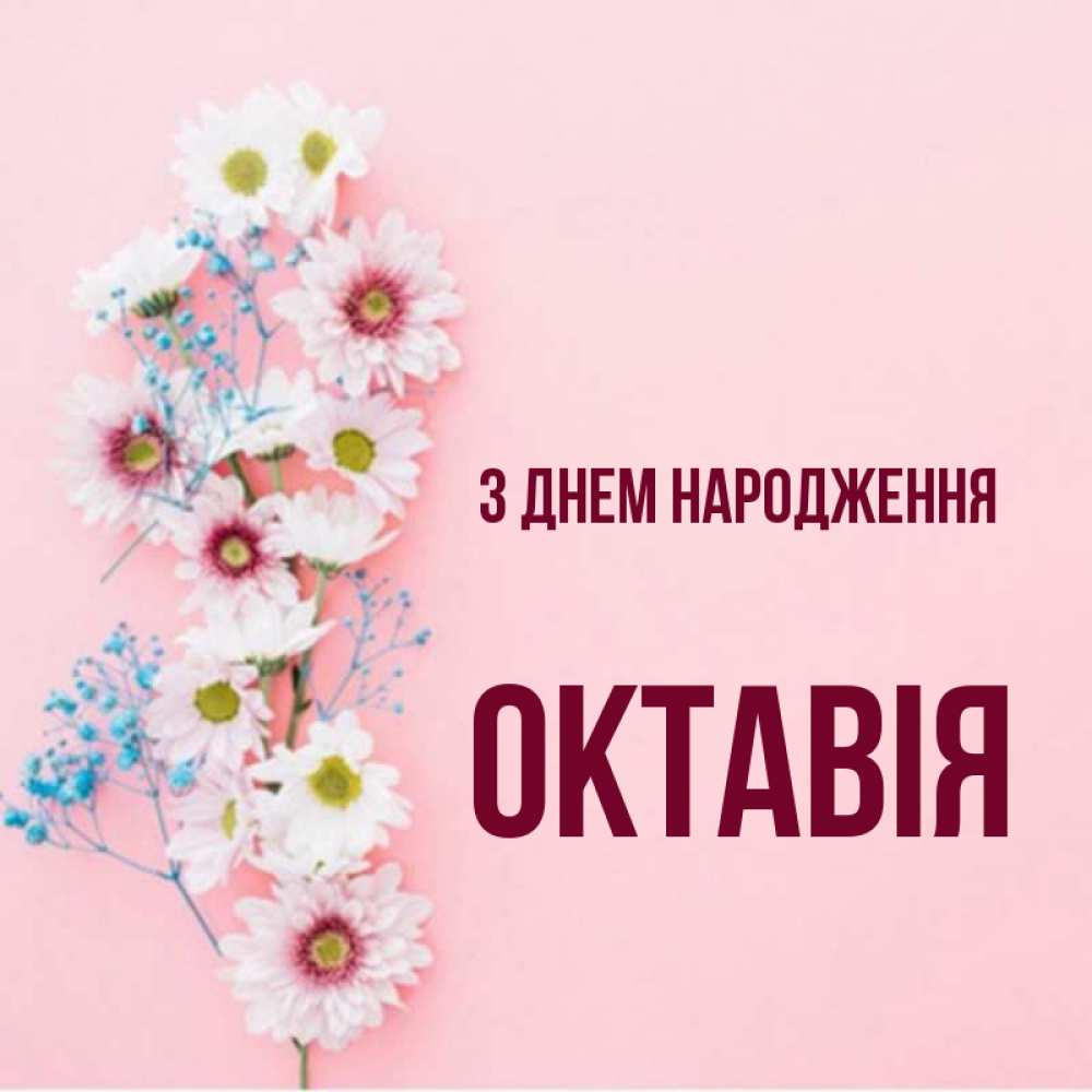 Открытка на каждый день з підписом, Октавія З Днем народження Родная моя с днем рождения тебя картинка с цветами белыми и голубыми Прикольна листівка з побажанням онлайн скачати безкоштовно 