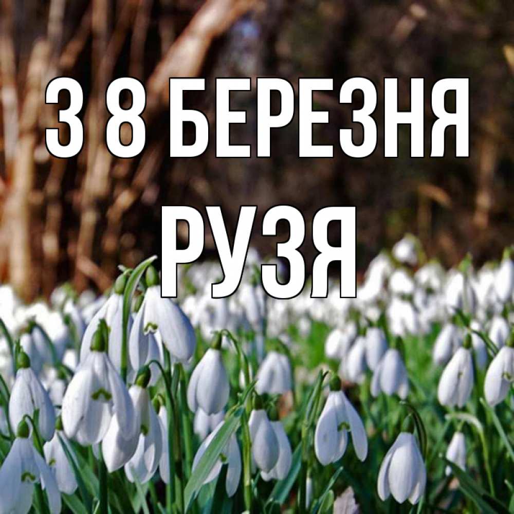 Открытка на каждый день з підписом, Рузя З 8 БЕРЕЗНЯ с подснежниками 1 Прикольна листівка з побажанням онлайн скачати безкоштовно 