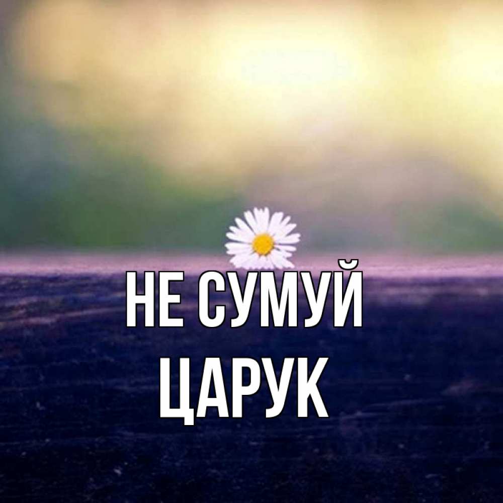 Открытка на каждый день з підписом, Царук Не сумуй красота Прикольна листівка з побажанням онлайн скачати безкоштовно 