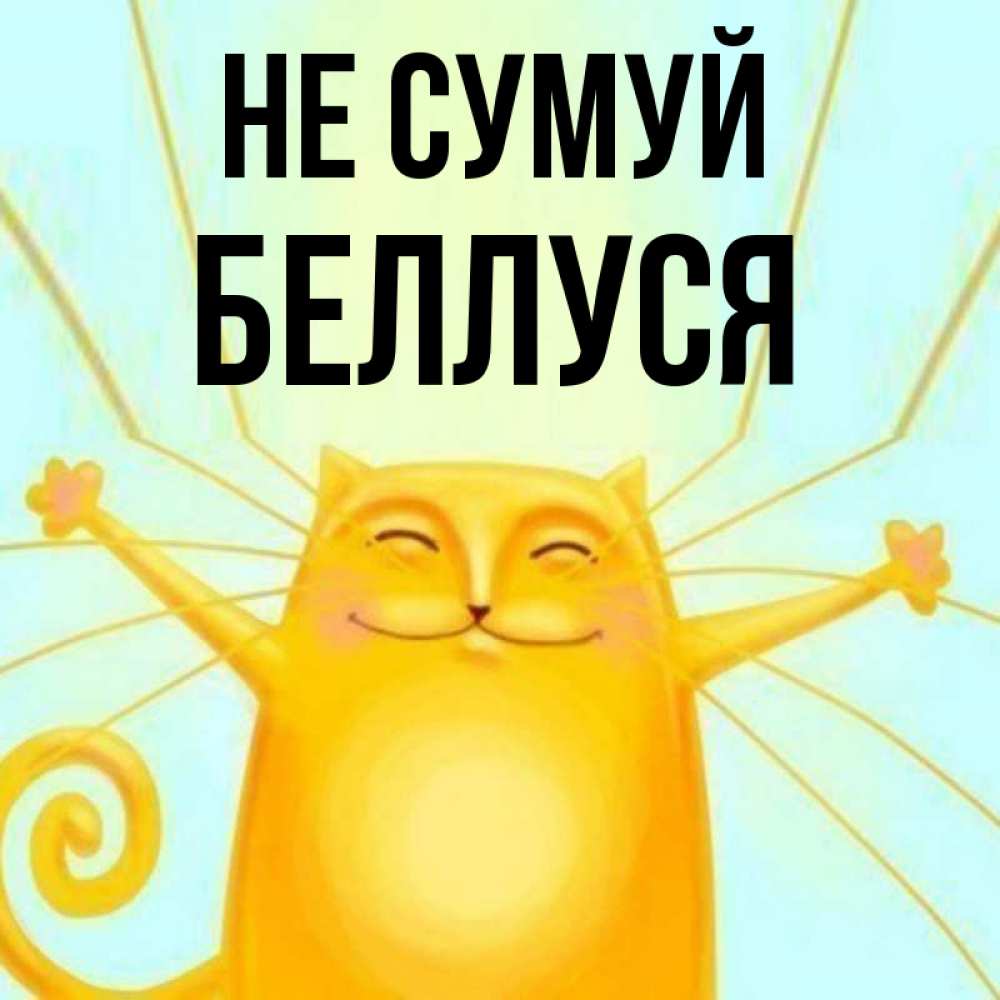 Открытка на каждый день з підписом, Беллуся Не сумуй обнимашки усатые Прикольна листівка з побажанням онлайн скачати безкоштовно 