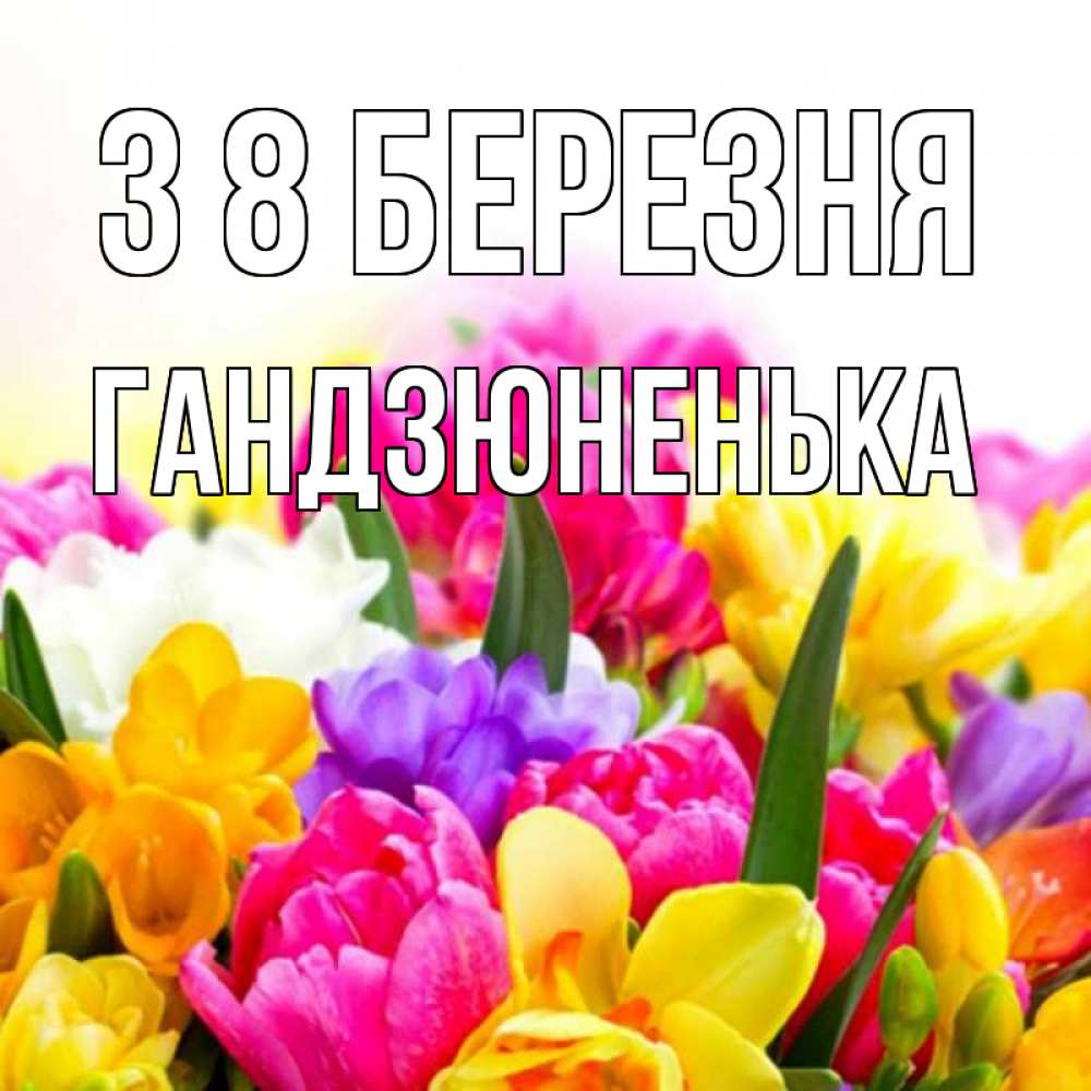 Открытка на каждый день з підписом, Гандзюненька З 8 БЕРЕЗНЯ тюльпаны Прикольна листівка з побажанням онлайн скачати безкоштовно 