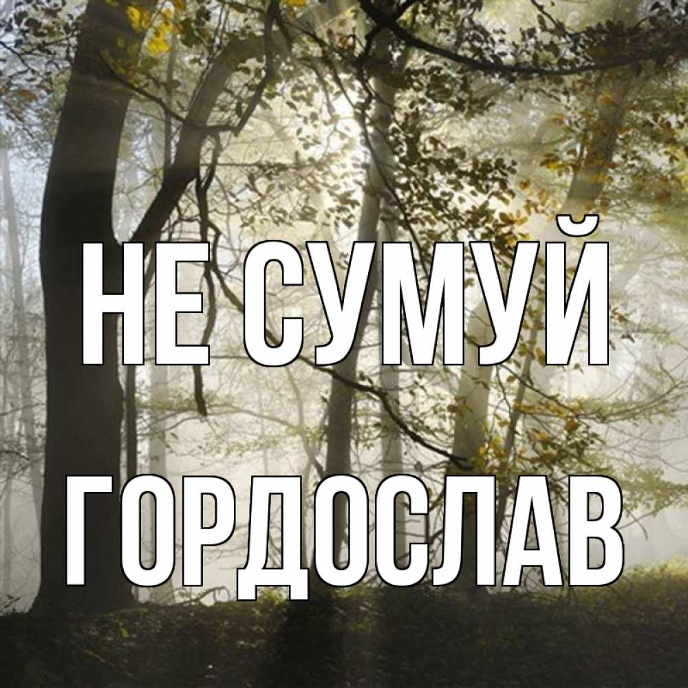 Открытка на каждый день з підписом, Гордослав Не сумуй лес и свет Прикольна листівка з побажанням онлайн скачати безкоштовно 