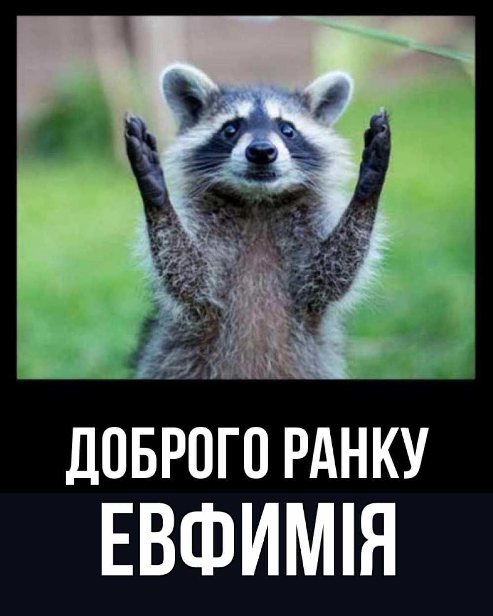 Открытка на каждый день з підписом, Евфимiя Доброго ранку хорошее настроение утречком Прикольна листівка з побажанням онлайн скачати безкоштовно 