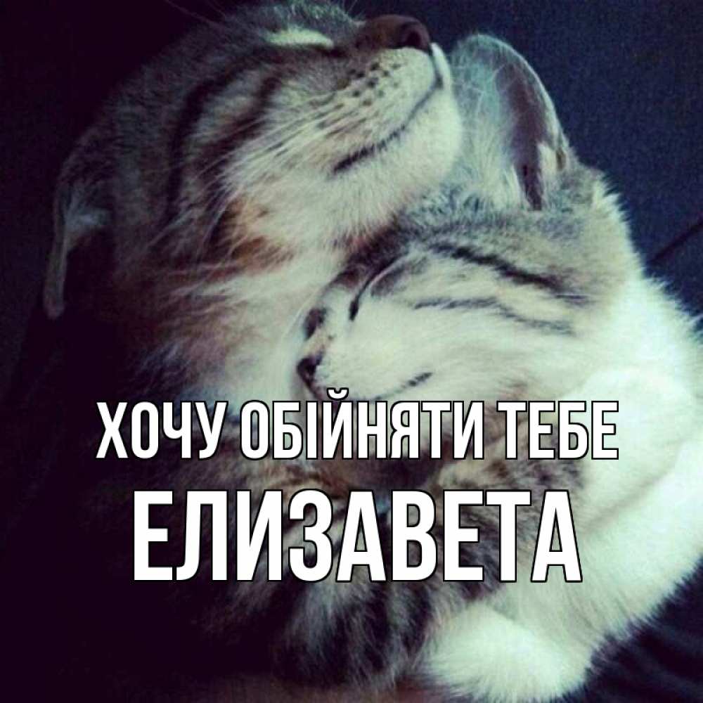 Открытка на каждый день з підписом, Елизавета Хочу обійняти тебе полосатики Прикольна листівка з побажанням онлайн скачати безкоштовно 