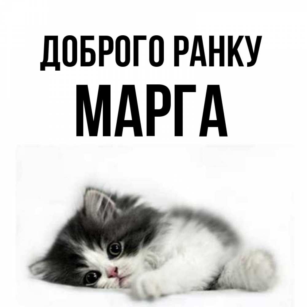 Открытка на каждый день з підписом, Марга Доброго ранку кот лапки Прикольна листівка з побажанням онлайн скачати безкоштовно 