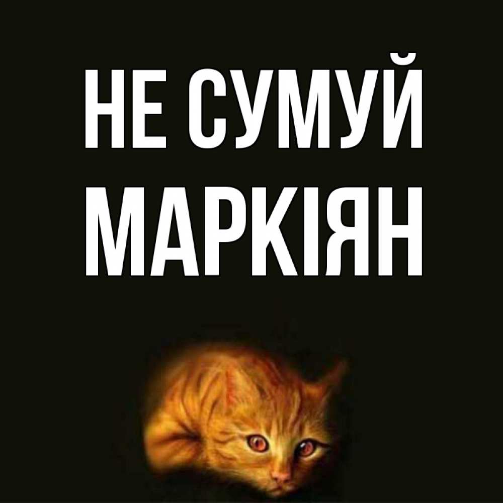 Открытка на каждый день з підписом, Маркіян Не сумуй лежащий кот в темноте Прикольна листівка з побажанням онлайн скачати безкоштовно 