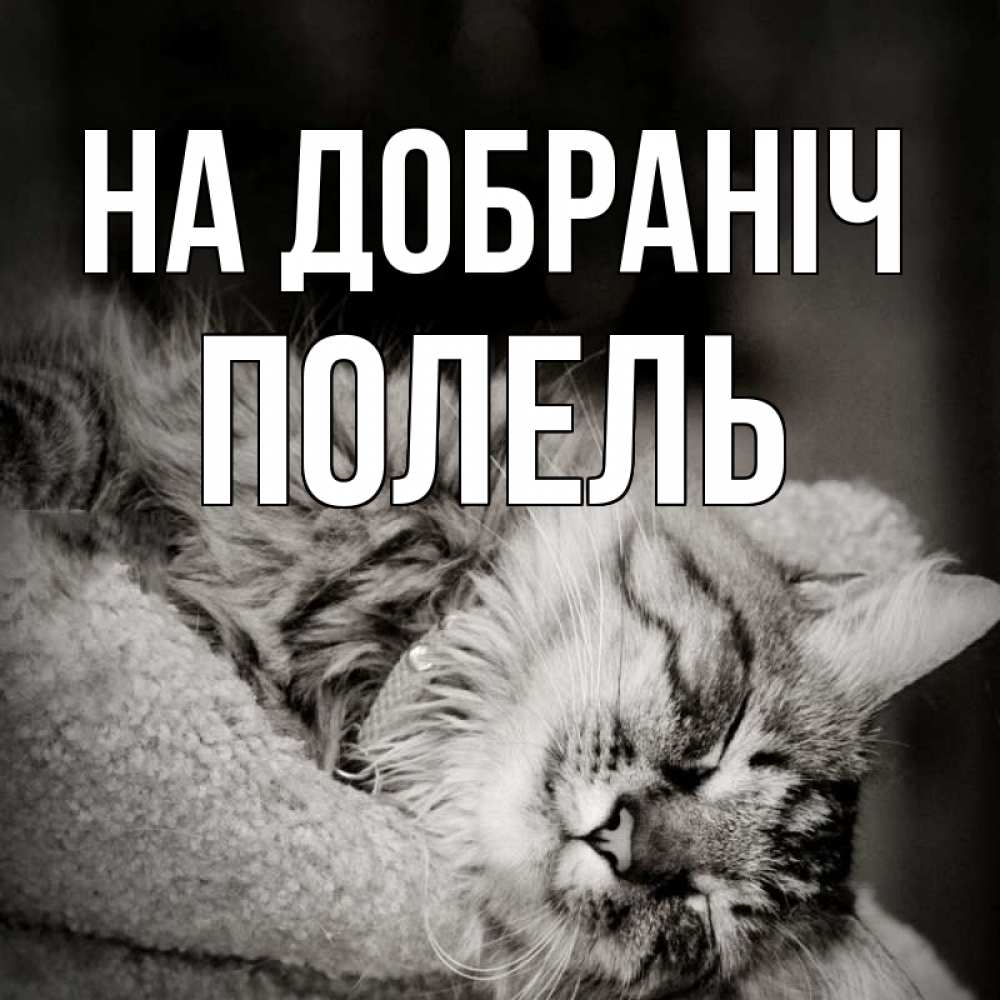 Открытка на каждый день з підписом, Полель На добраніч котярик пушистый Прикольна листівка з побажанням онлайн скачати безкоштовно 