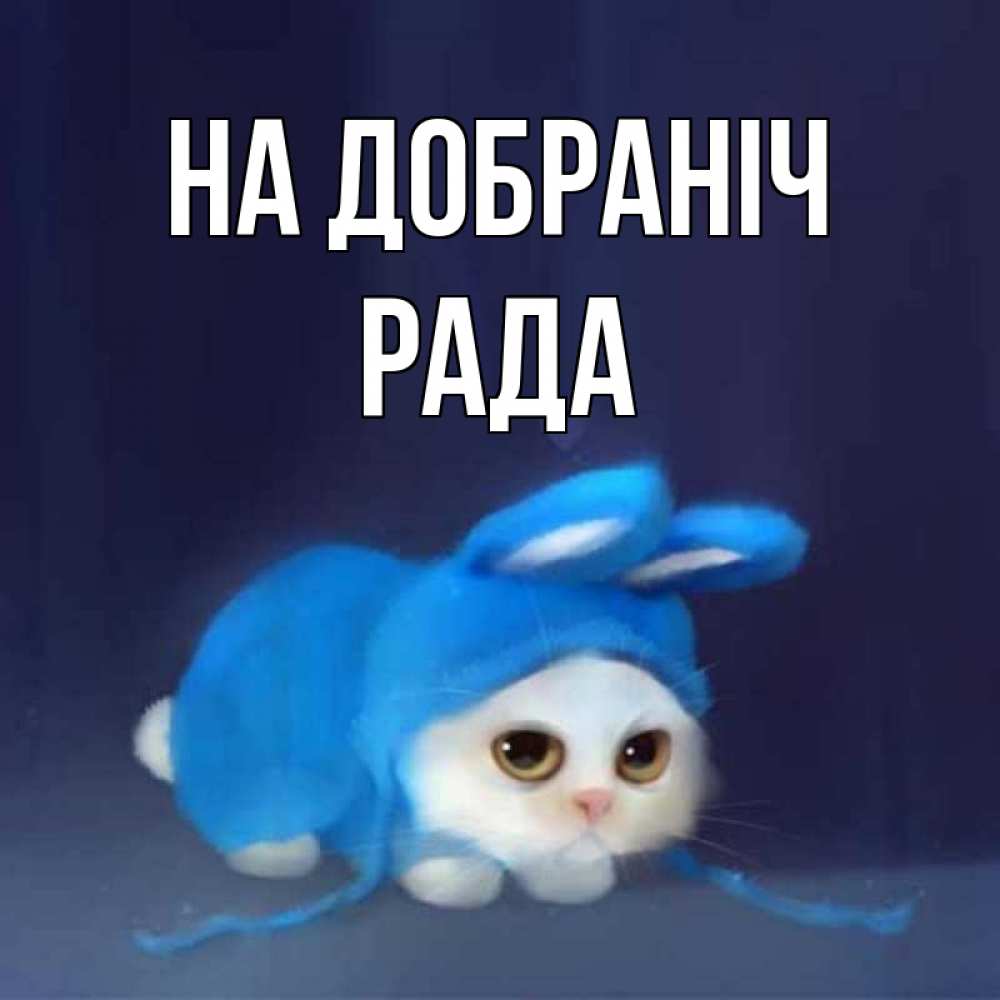 Открытка на каждый день з підписом, Рада На добраніч кот в голубом костюме кролика с ушками Прикольна листівка з побажанням онлайн скачати безкоштовно 