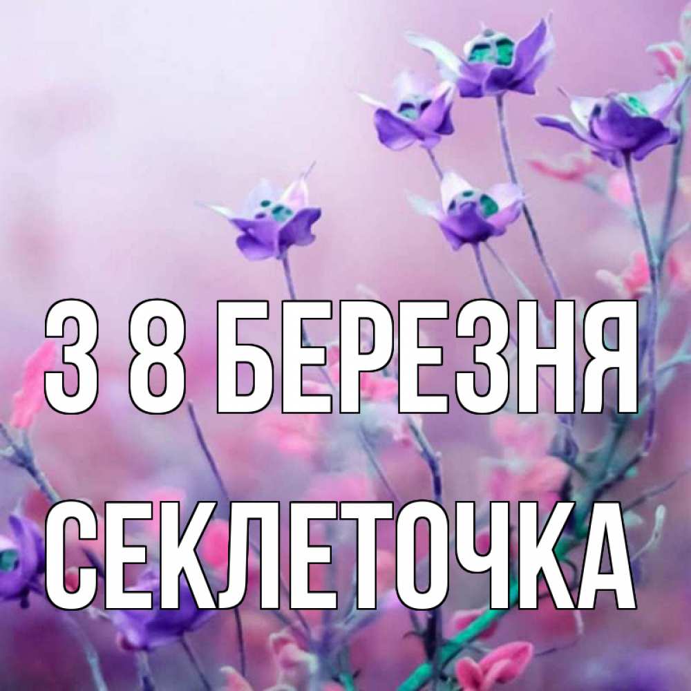 Открытка на каждый день з підписом, Секлеточка З 8 БЕРЕЗНЯ международный женский день 2 Прикольна листівка з побажанням онлайн скачати безкоштовно 