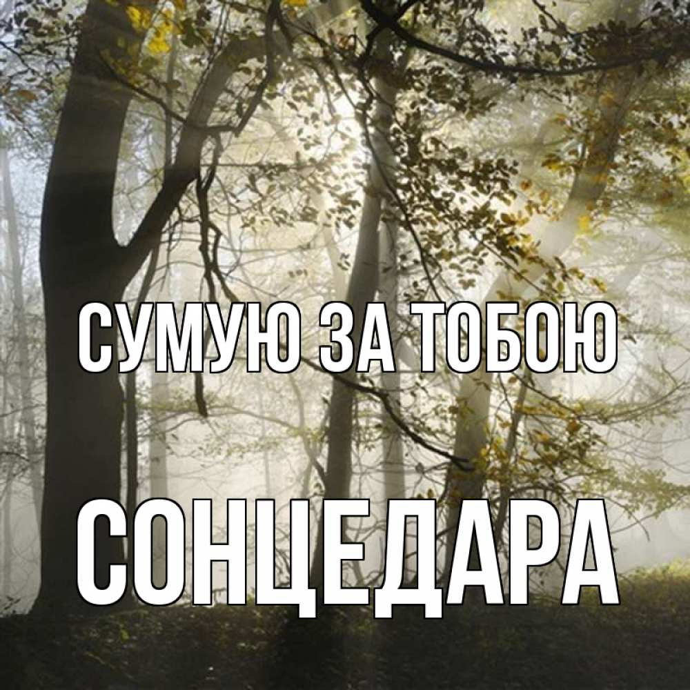 Открытка на каждый день з підписом, Сонцедара Сумую за тобою грустно Прикольна листівка з побажанням онлайн скачати безкоштовно 