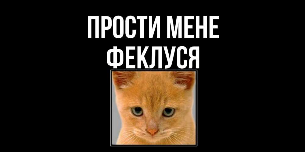 Открытка на каждый день з підписом, Феклуся Прости мене рыжий грустный кот просит прощения Прикольна листівка з побажанням онлайн скачати безкоштовно 