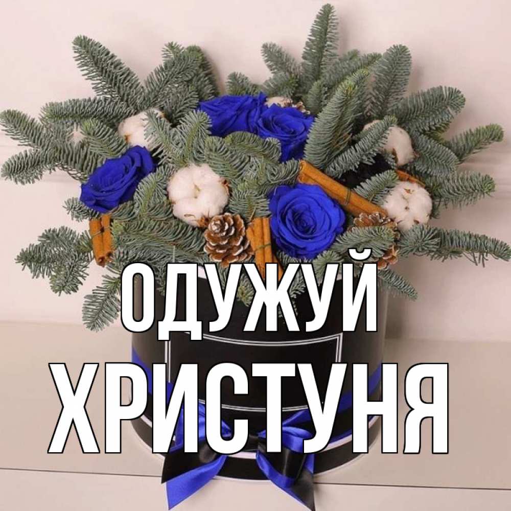 Открытка на каждый день з підписом, Христуня Одужуй короче кто то загрузил эти шишки Прикольна листівка з побажанням онлайн скачати безкоштовно 