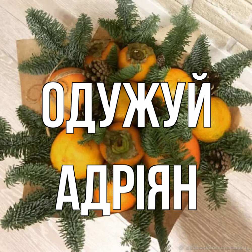 Открытка на каждый день з підписом, Адріян Одужуй апельсины и хурьма Прикольна листівка з побажанням онлайн скачати безкоштовно 