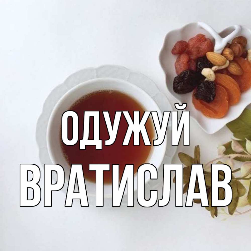 Открытка на каждый день з підписом, Вратислав Одужуй неизвестные растения Прикольна листівка з побажанням онлайн скачати безкоштовно 