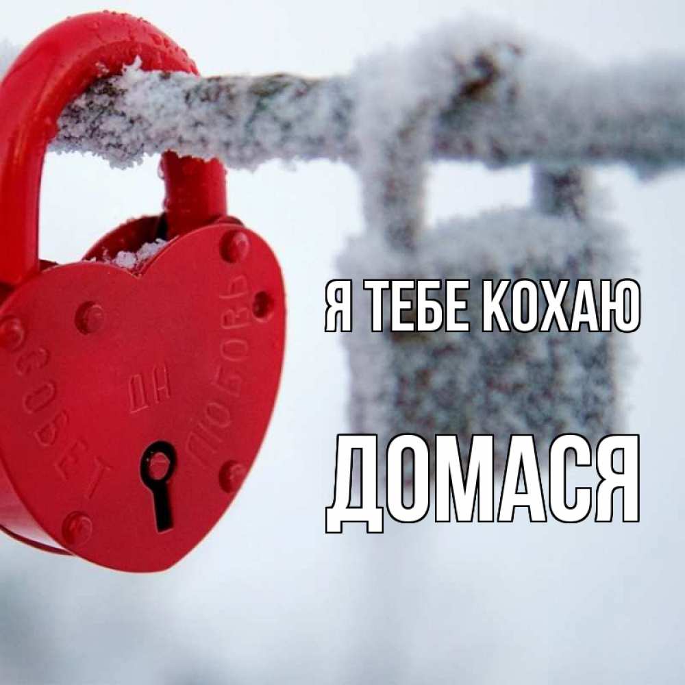 Открытка на каждый день з підписом, Домася Я тебе кохаю любви Прикольна листівка з побажанням онлайн скачати безкоштовно 