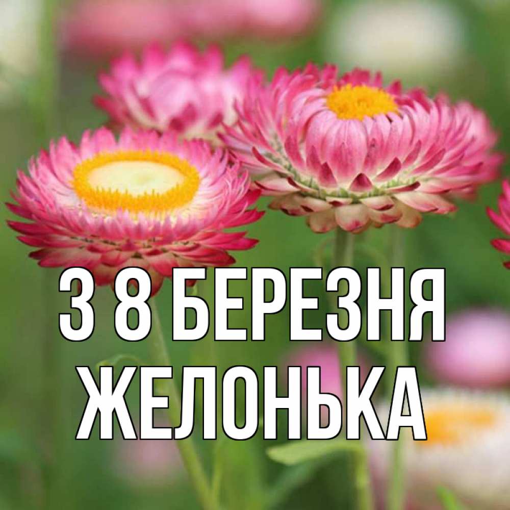 Открытка на каждый день з підписом, Желонька З 8 БЕРЕЗНЯ подарок на международный женский день Прикольна листівка з побажанням онлайн скачати безкоштовно 