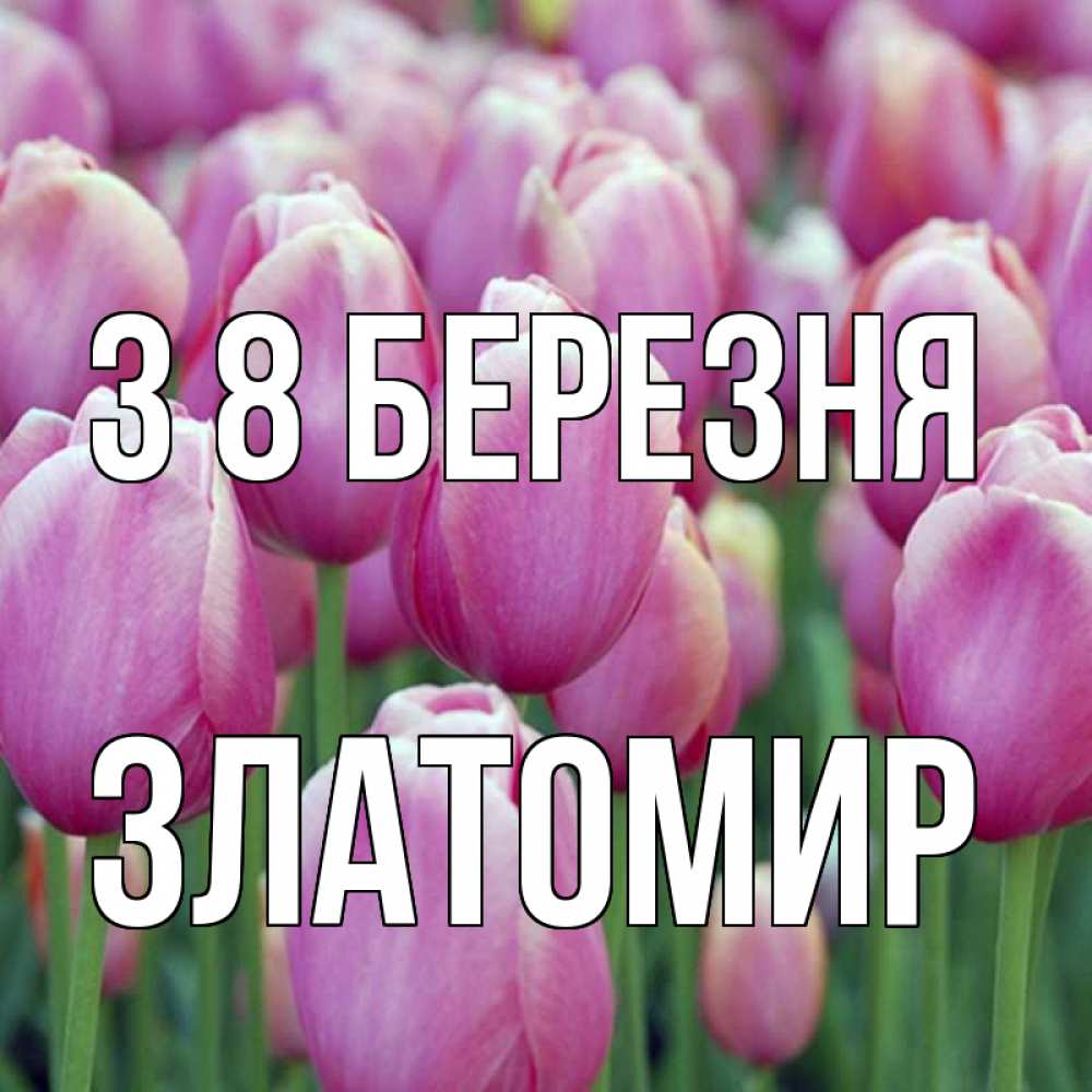 Открытка на каждый день з підписом, Златомир З 8 БЕРЕЗНЯ на международный женский день 3 Прикольна листівка з побажанням онлайн скачати безкоштовно 