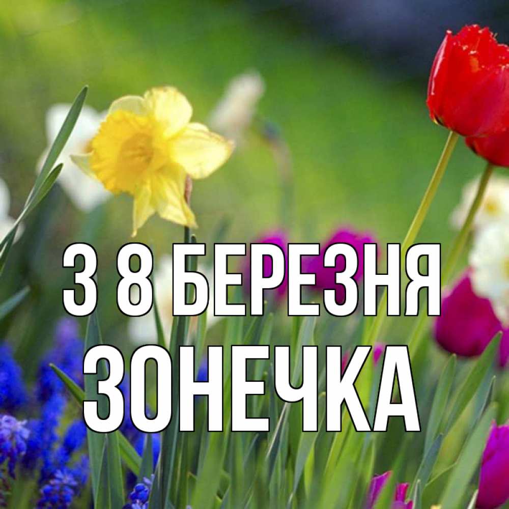 Открытка на каждый день з підписом, Зонечка З 8 БЕРЕЗНЯ международный женский день 3 Прикольна листівка з побажанням онлайн скачати безкоштовно 