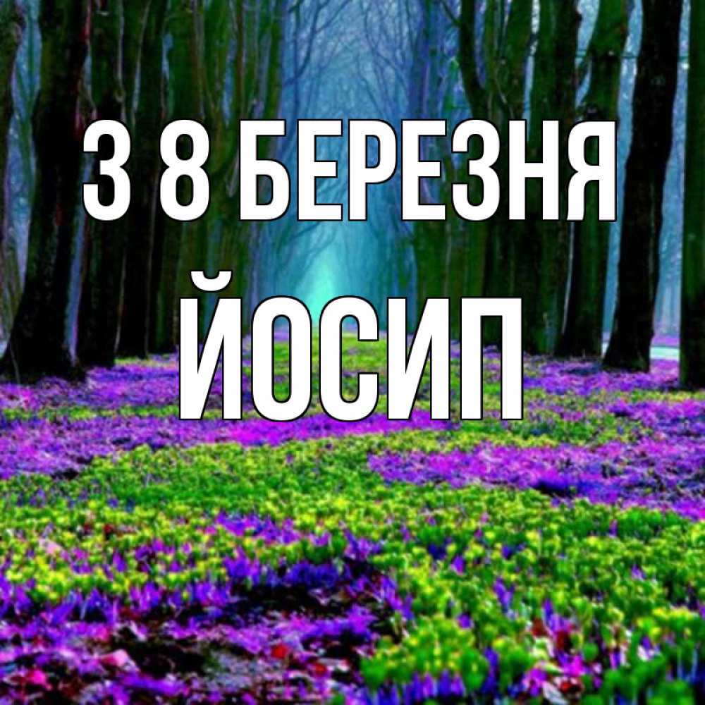 Открытка на каждый день з підписом, Йосип З 8 БЕРЕЗНЯ фиолетовые цветы в лесу 1 Прикольна листівка з побажанням онлайн скачати безкоштовно 