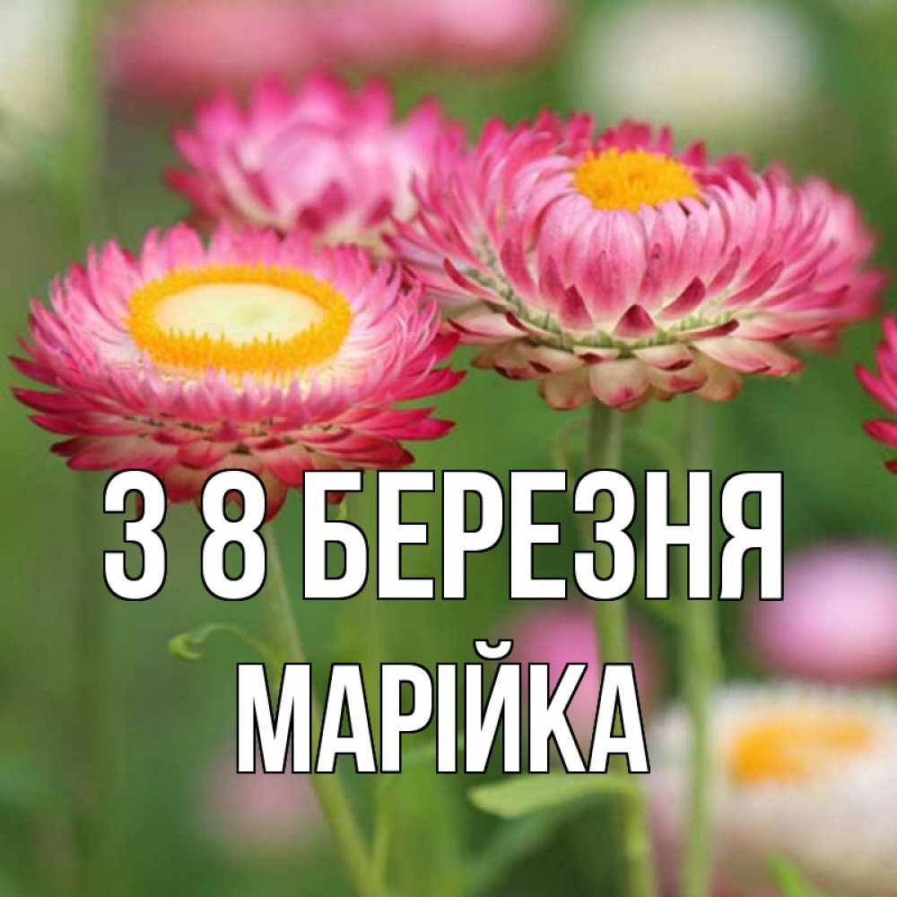Открытка на каждый день з підписом, Марійка З 8 БЕРЕЗНЯ подарок на международный женский день Прикольна листівка з побажанням онлайн скачати безкоштовно 