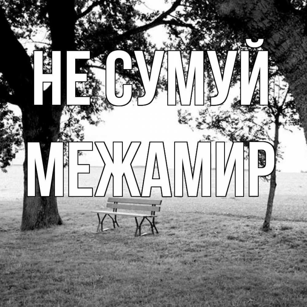 Открытка на каждый день з підписом, Межамир Не сумуй мощное дерево Прикольна листівка з побажанням онлайн скачати безкоштовно 