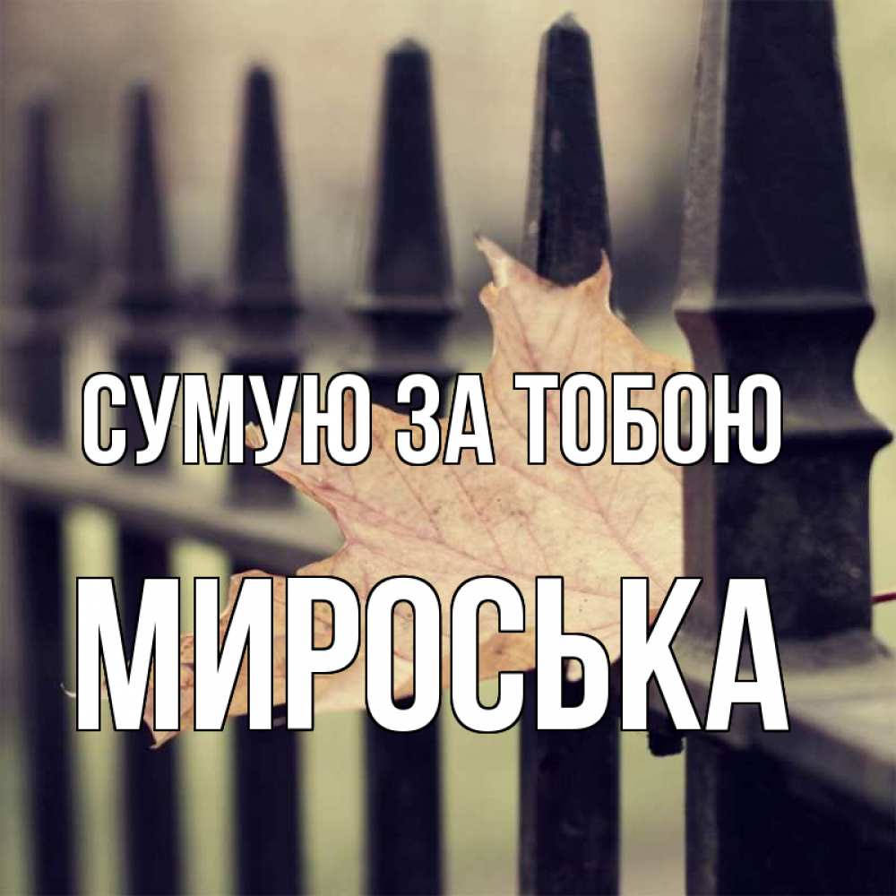 Открытка на каждый день з підписом, Мироська Сумую за тобою очень скучно Прикольна листівка з побажанням онлайн скачати безкоштовно 