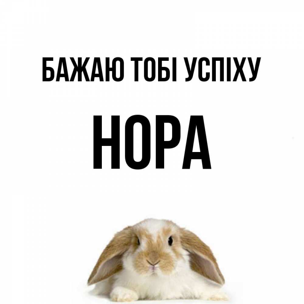 Открытка на каждый день з підписом, Нора Бажаю тобі успіху открытки с произвольным текстом который можно вставить в открытку и создать ее самостоятельно бесплатно онлайн Прикольна листівка з побажанням онлайн скачати безкоштовно 