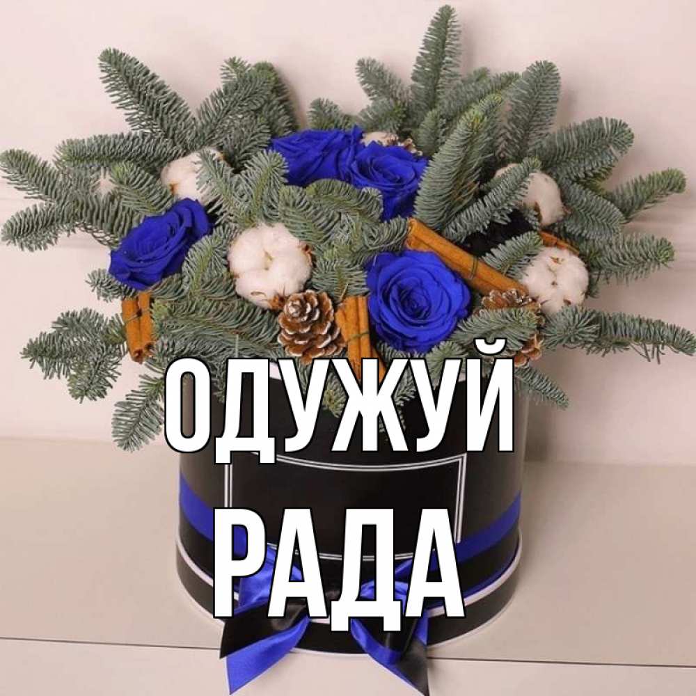 Открытка на каждый день з підписом, Рада Одужуй короче кто то загрузил эти шишки Прикольна листівка з побажанням онлайн скачати безкоштовно 