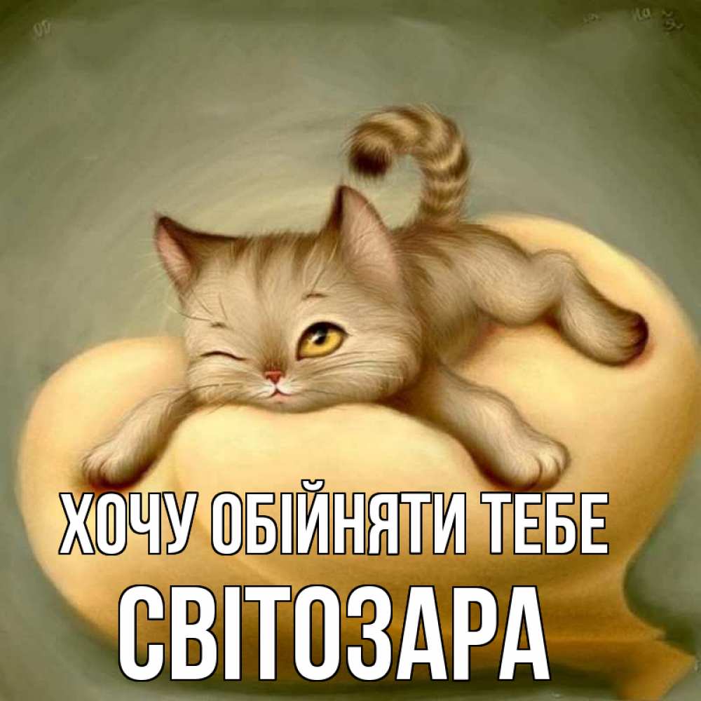 Открытка на каждый день з підписом, Світозара Хочу обійняти тебе кошечка Прикольна листівка з побажанням онлайн скачати безкоштовно 