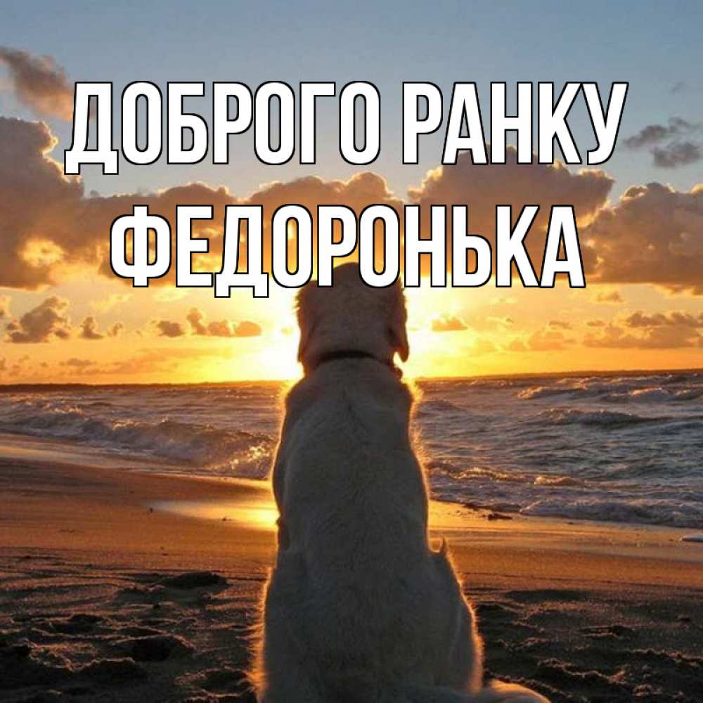 Открытка на каждый день з підписом, Федоронька Доброго ранку восход солнца Прикольна листівка з побажанням онлайн скачати безкоштовно 