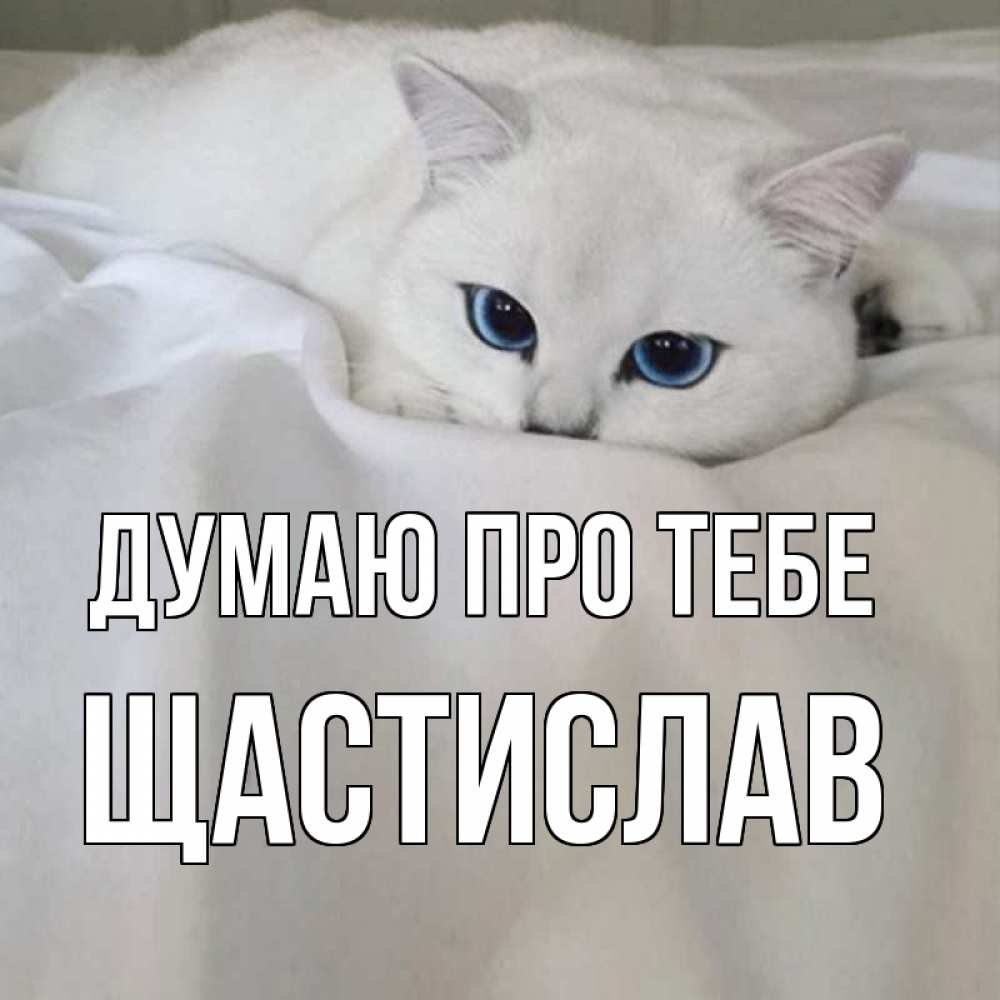 Открытка на каждый день з підписом, Щастислав Думаю про тебе я очень по тебе скучаю и тоскую Прикольна листівка з побажанням онлайн скачати безкоштовно 
