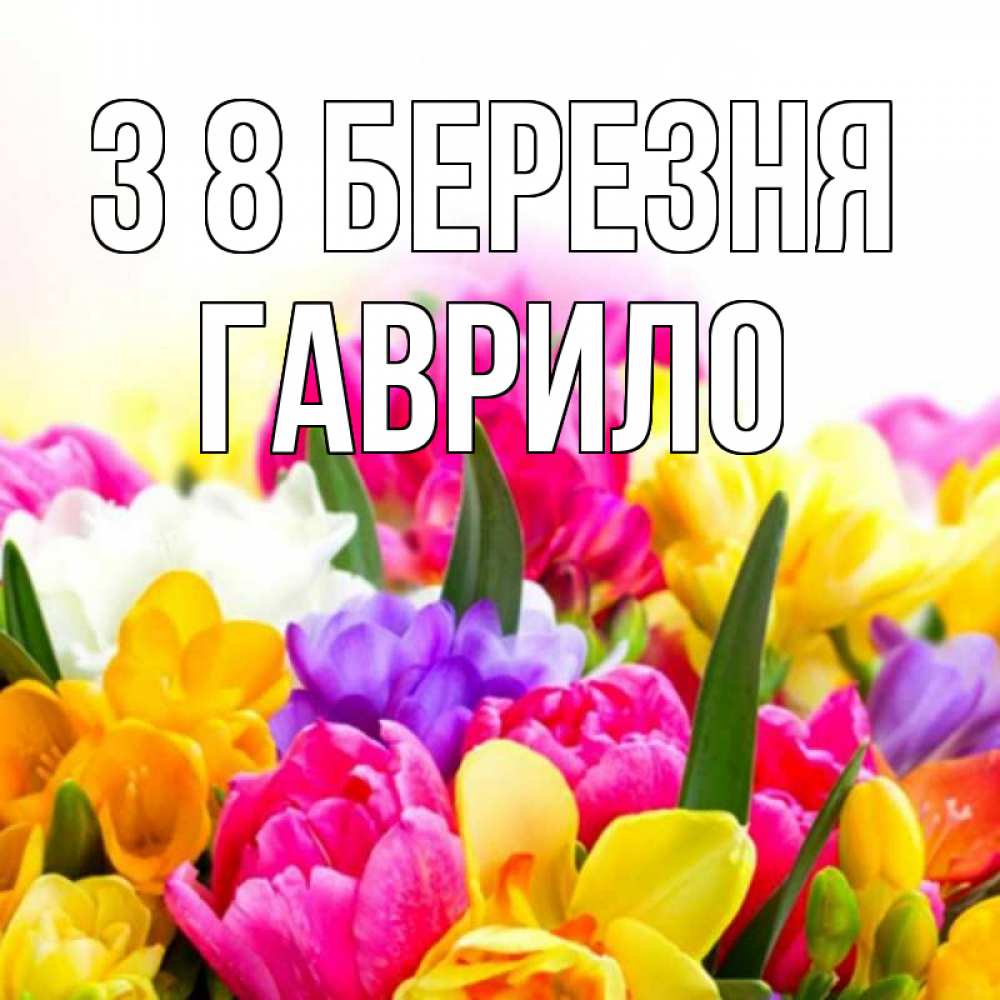 Открытка на каждый день з підписом, Гаврило З 8 БЕРЕЗНЯ тюльпаны Прикольна листівка з побажанням онлайн скачати безкоштовно 