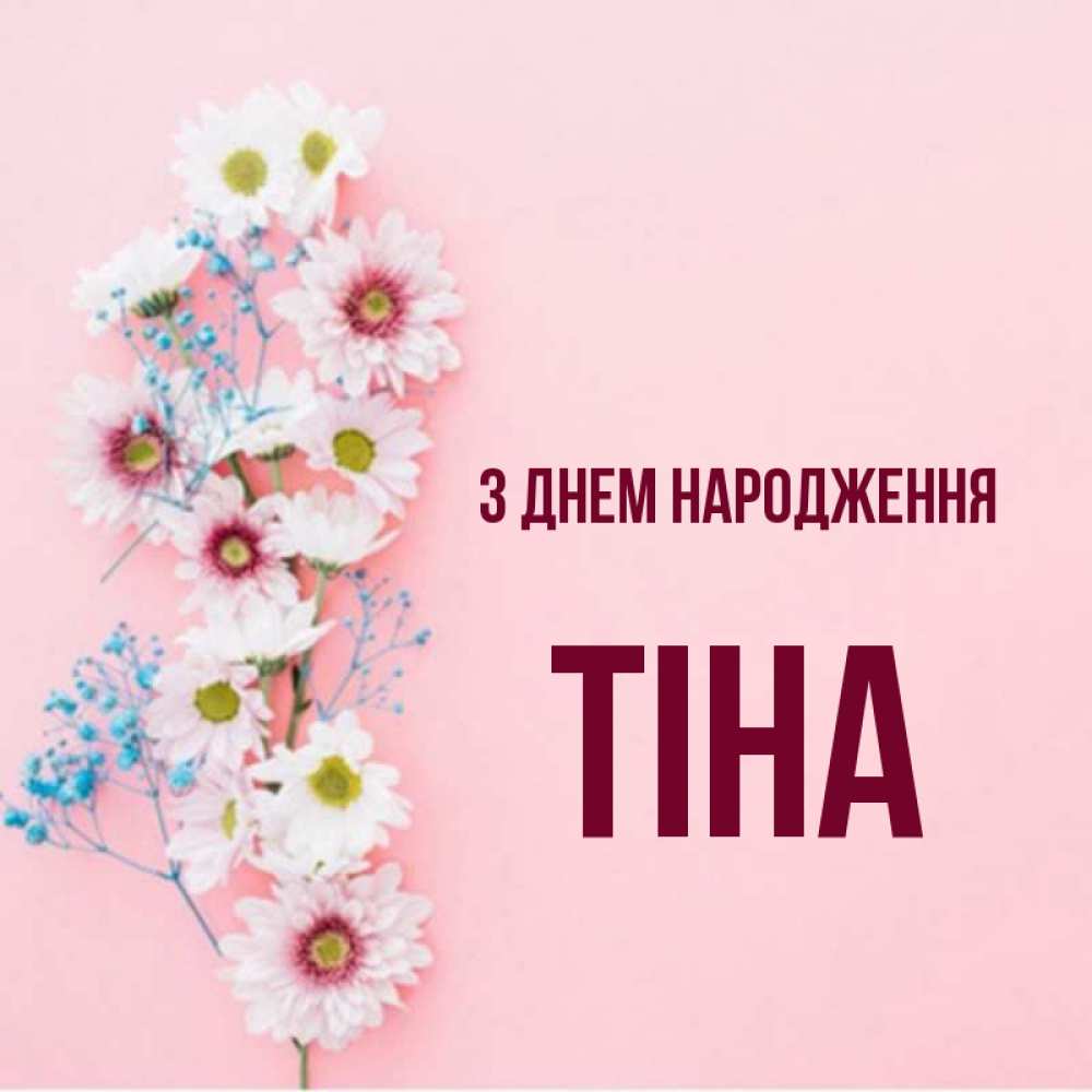 Открытка на каждый день з підписом, Тіна З Днем народження Родная моя с днем рождения тебя картинка с цветами белыми и голубыми Прикольна листівка з побажанням онлайн скачати безкоштовно 