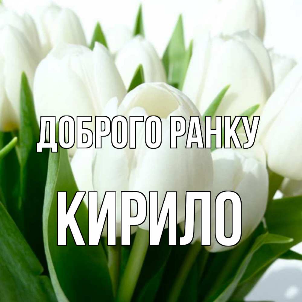 Открытка на каждый день з підписом, Кирило Доброго ранку открытки на каждый день по именам Прикольна листівка з побажанням онлайн скачати безкоштовно 