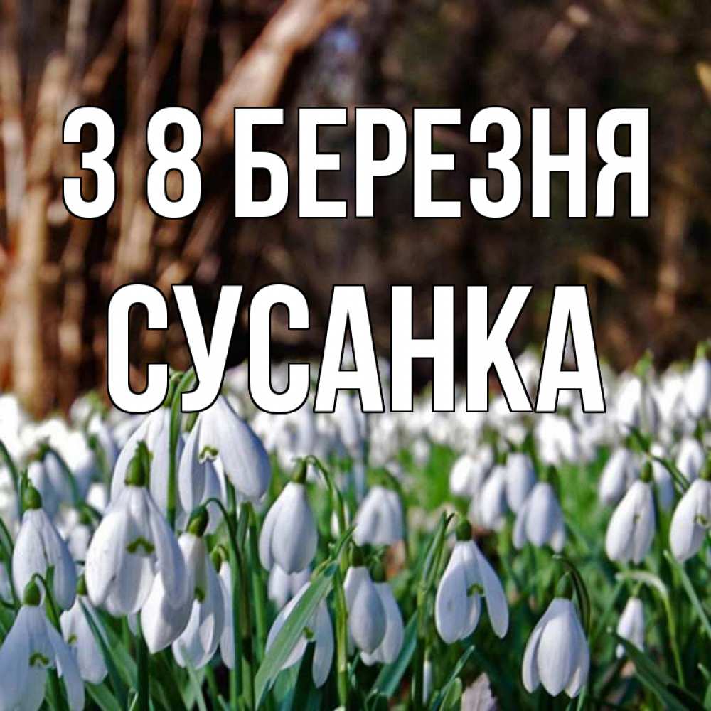 Открытка на каждый день з підписом, Сусанка З 8 БЕРЕЗНЯ с подснежниками 1 Прикольна листівка з побажанням онлайн скачати безкоштовно 