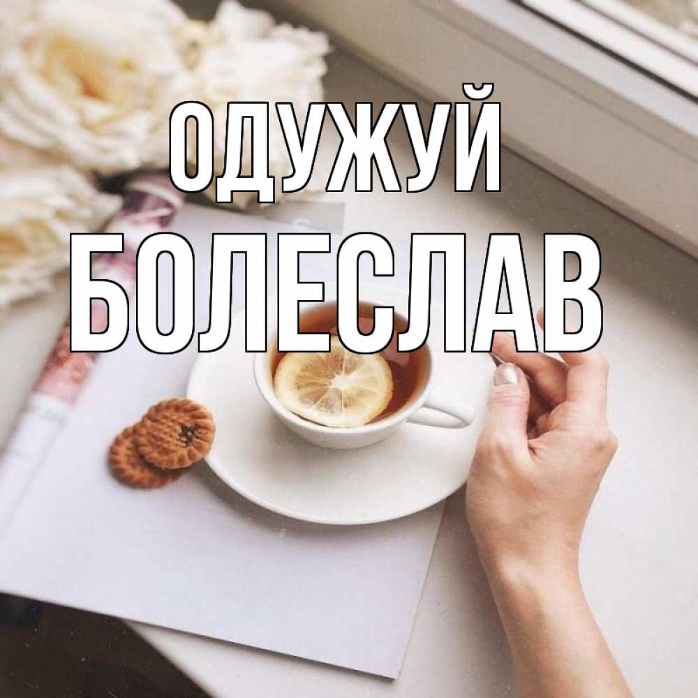 Открытка на каждый день з підписом, Болеслав Одужуй и печеньками Прикольна листівка з побажанням онлайн скачати безкоштовно 