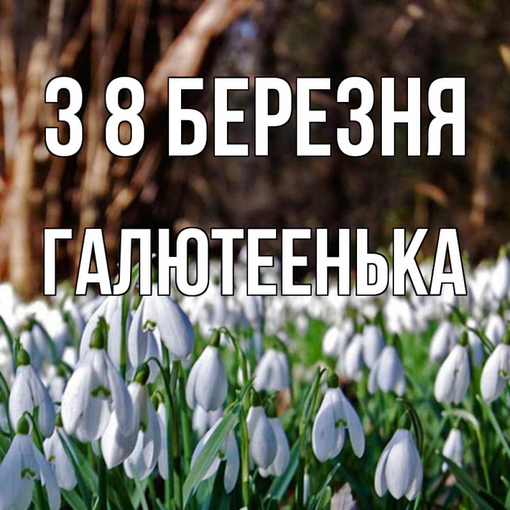 Открытка на каждый день з підписом, Галютеенька З 8 БЕРЕЗНЯ с подснежниками 1 Прикольна листівка з побажанням онлайн скачати безкоштовно 