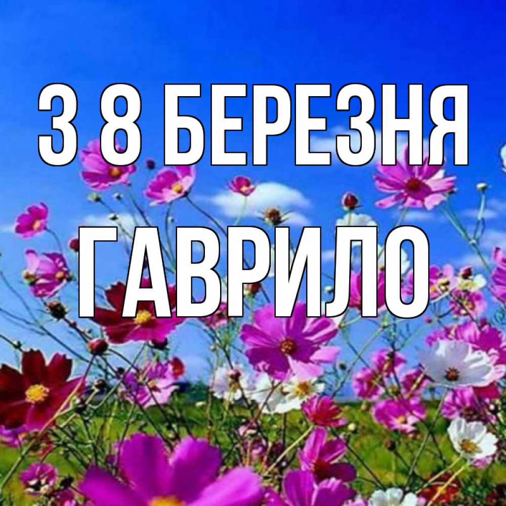 Открытка на каждый день з підписом, Гаврило З 8 БЕРЕЗНЯ цветы Прикольна листівка з побажанням онлайн скачати безкоштовно 