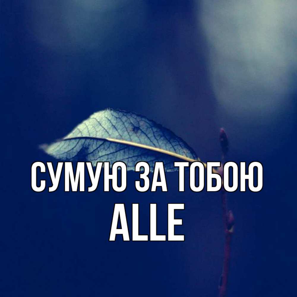 Открытка на каждый день з підписом, Alle Сумую за тобою одна ветка 1 Прикольна листівка з побажанням онлайн скачати безкоштовно 