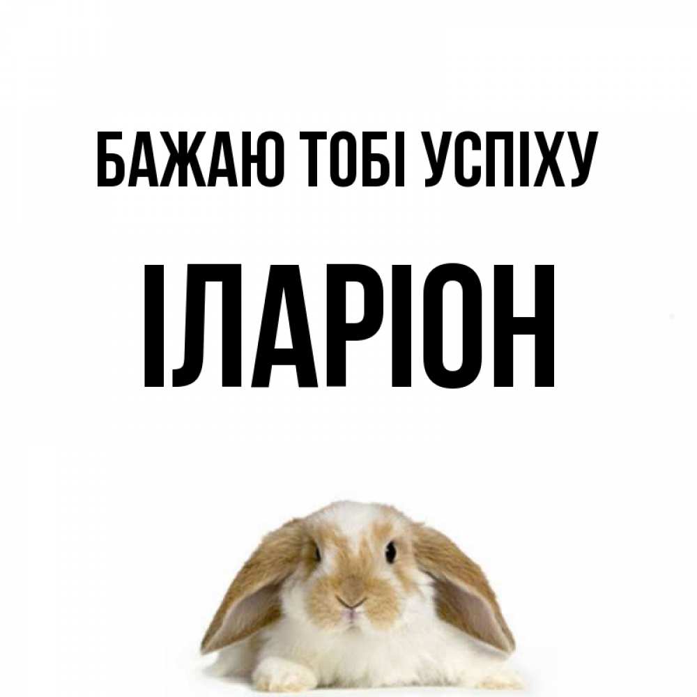 Открытка на каждый день з підписом, Іларіон Бажаю тобі успіху открытки с произвольным текстом который можно вставить в открытку и создать ее самостоятельно бесплатно онлайн Прикольна листівка з побажанням онлайн скачати безкоштовно 