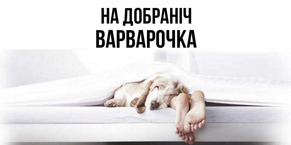 Открытка на каждый день з підписом, Варварочка На добраніч кровать с собакой пожелание сладких снов и спокойной ночи Прикольна листівка з побажанням онлайн скачати безкоштовно 